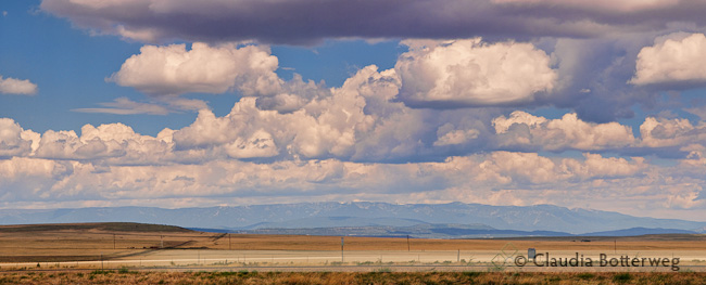New Mexico Panorama